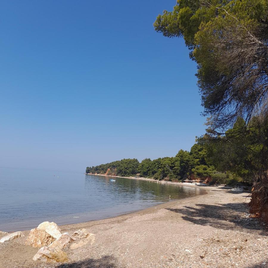 Ta Pefka Daire Nikiti  Dış mekan fotoğraf